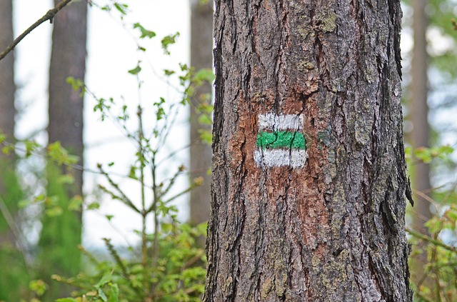 turistická značka na stromě